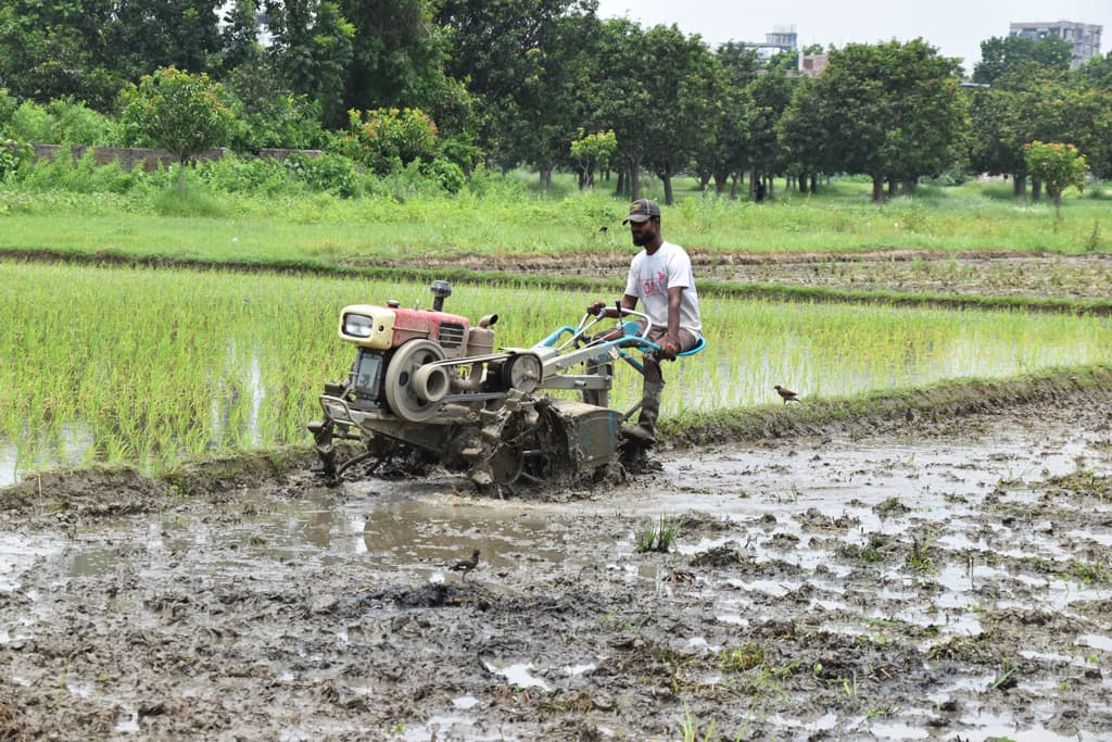 দিনের ছবি (২৩ জুন, ২০২৪)