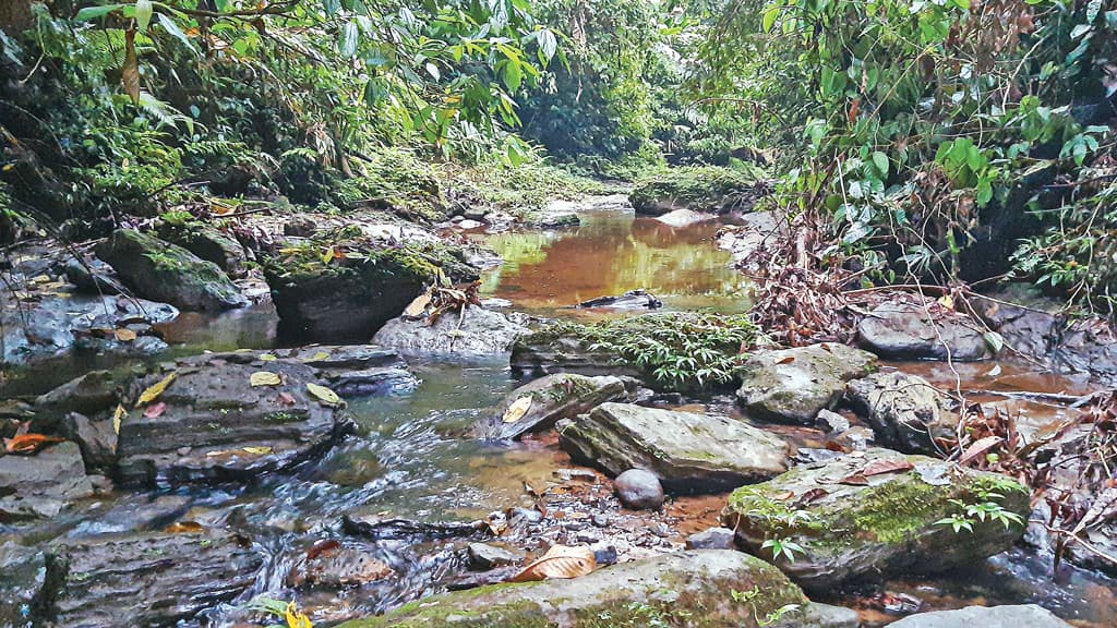 শ্রীমঙ্গলের প্রাচীন গিরিখাত