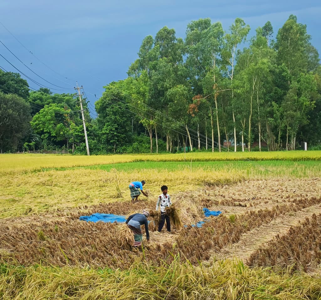 দিনের ছবি (২৭ মে, ২০২৩)