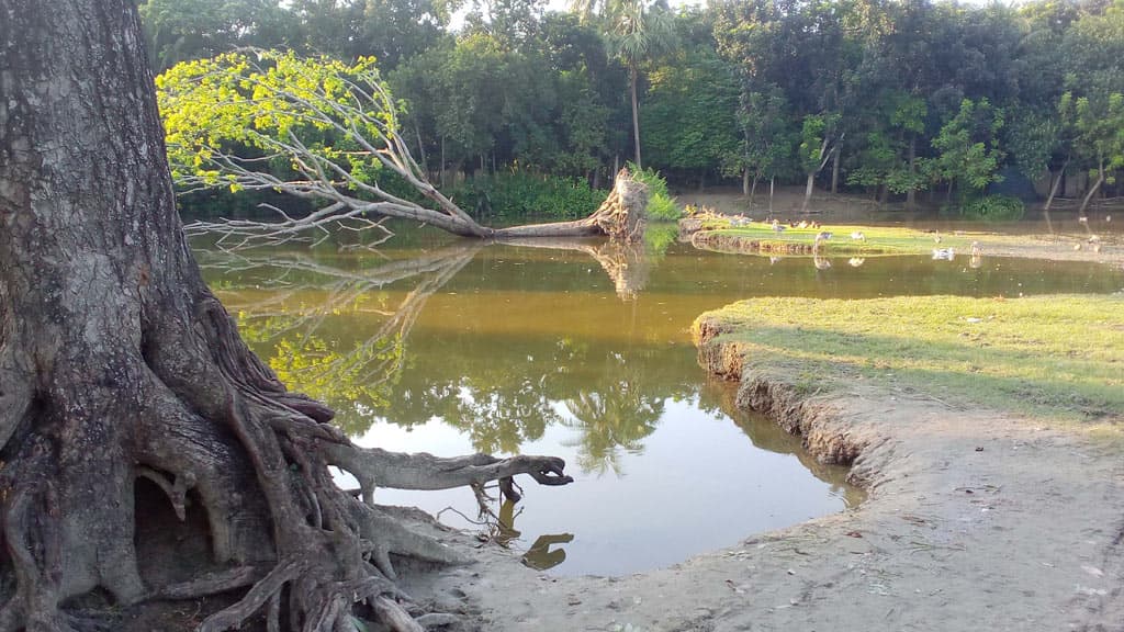 পুকুরের পেটে স্কুলের মাঠ, হুমকিতে সড়ক