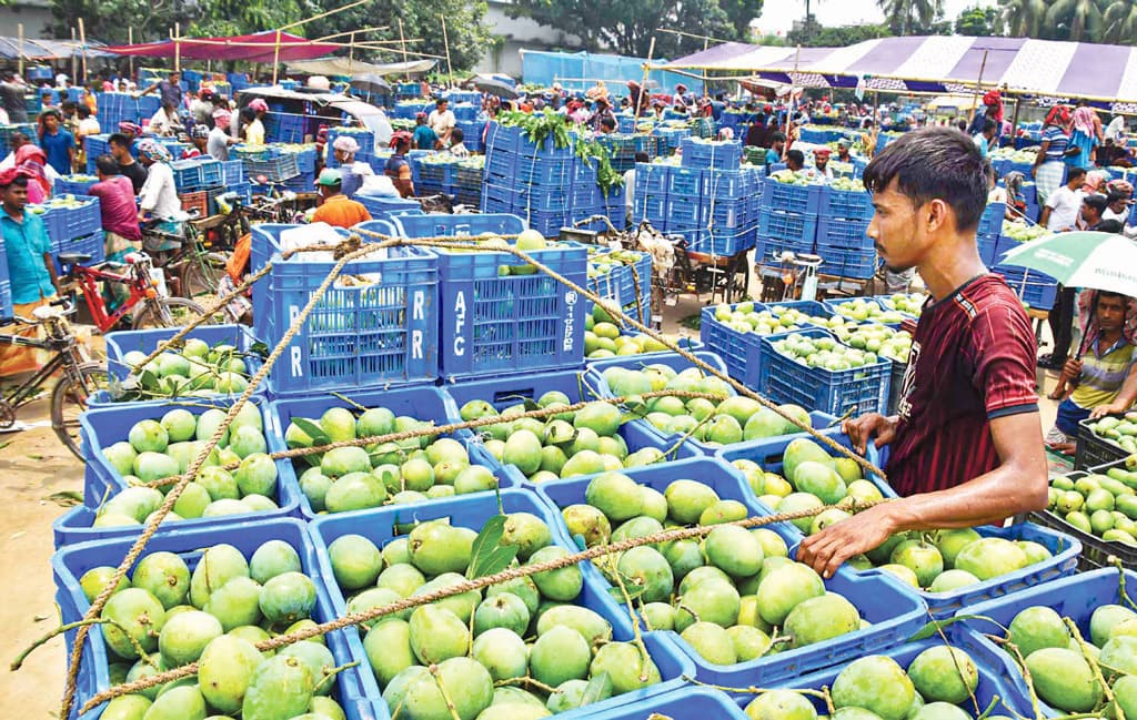 আমের বাজারে ধস হতাশ ব্যবসায়ীরা