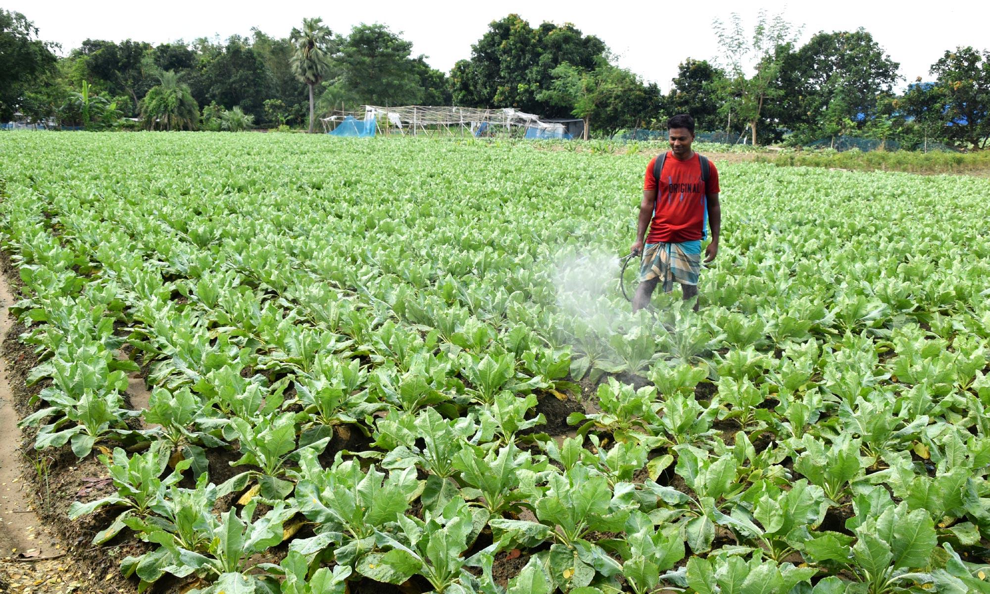 দিনের ছবি (৫ অক্টোবর ২০২৪)