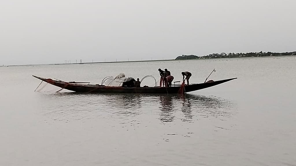 তেঁতুলিয়ায় ইলিশের আকাল