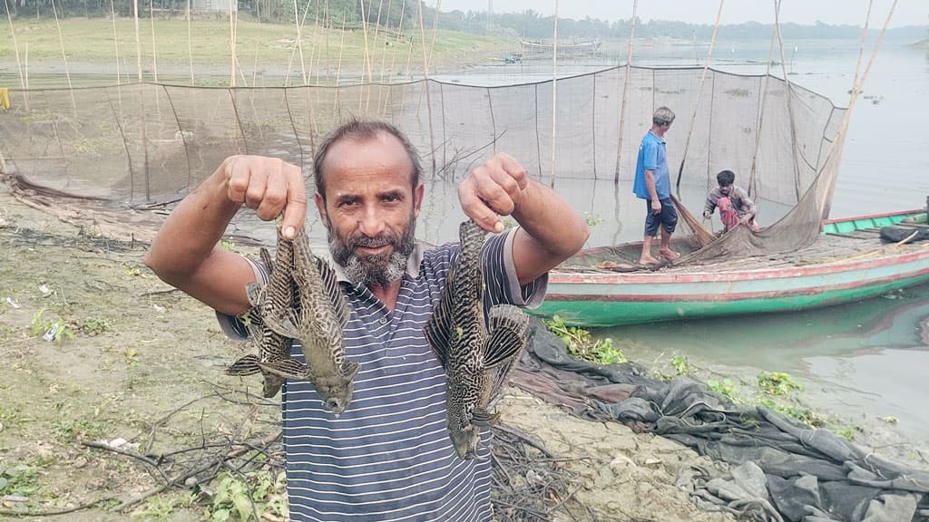 নিষিদ্ধ ‘সাকার ফিশ’ ধরা পড়ছে শ্রীপুরের জেলেদের জালে