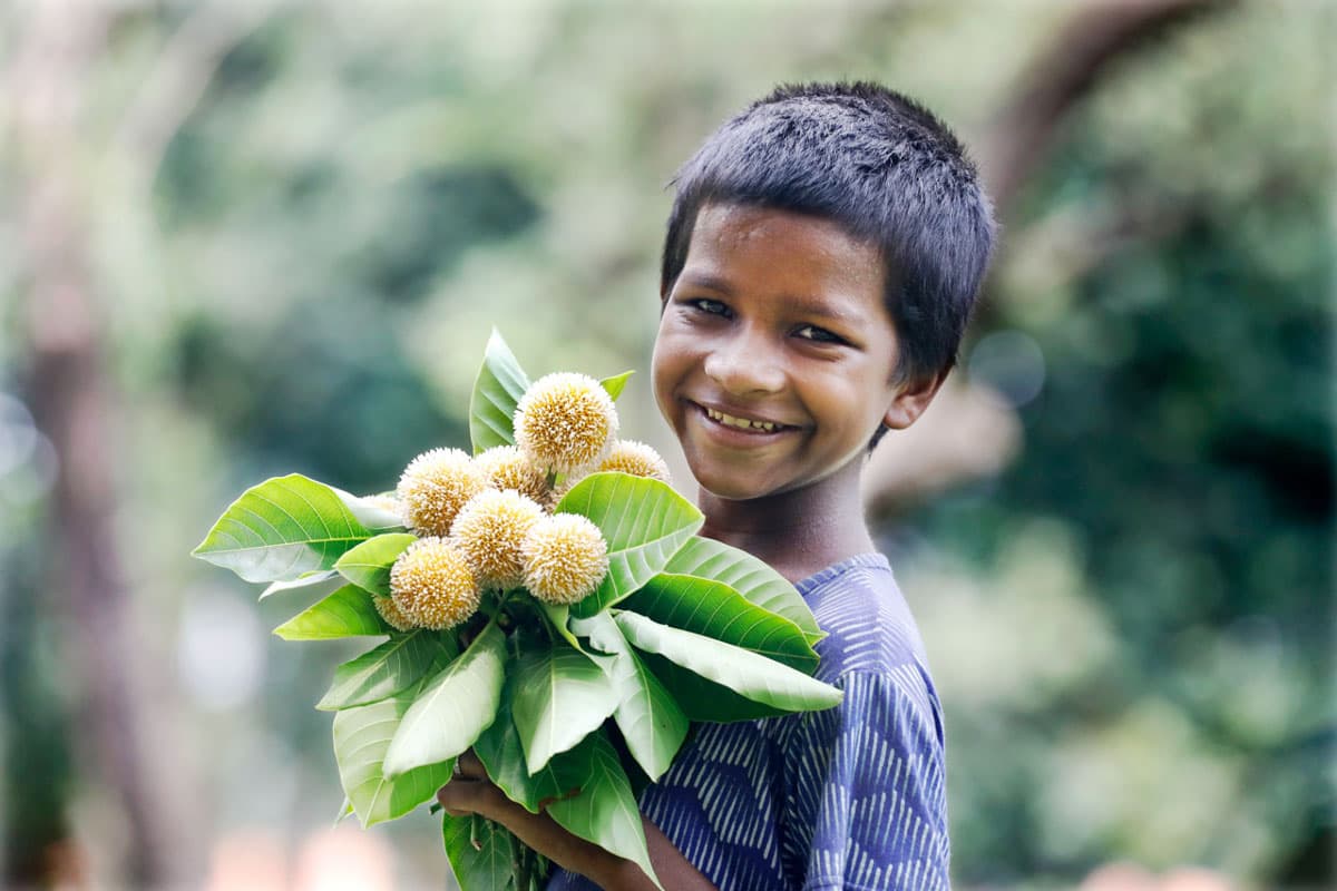 দিনের ছবি (১৫ জুন, ২০২৩)