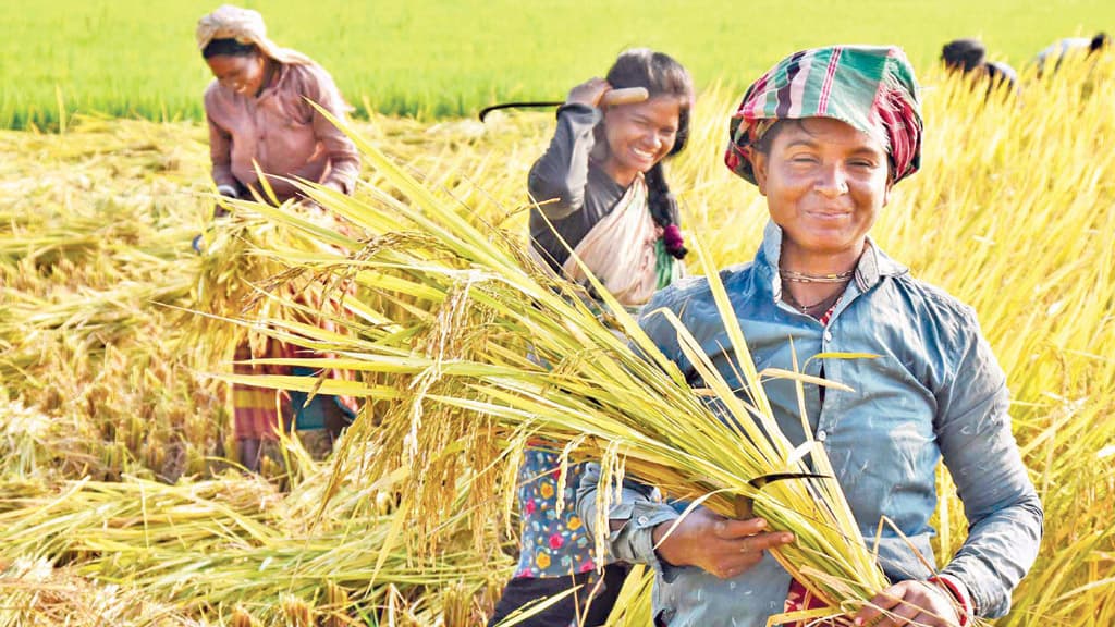 ক্ষুধার বিরুদ্ধে দাঁড়ানো গ্রামীণ নারীরা