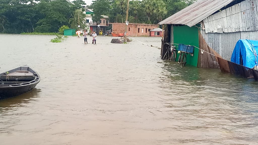 চাঁদপুরে বৃষ্টির পানিতে অর্ধশতাধিক মাছের ঘের প্লাবিত