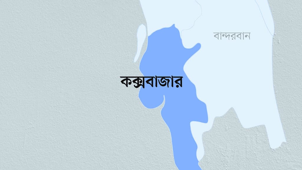 চকরিয়া মহাসড়কে ব্যারিকেড দিয়ে ১৮ মহিষ লুট, গ্রেপ্তার ১ 