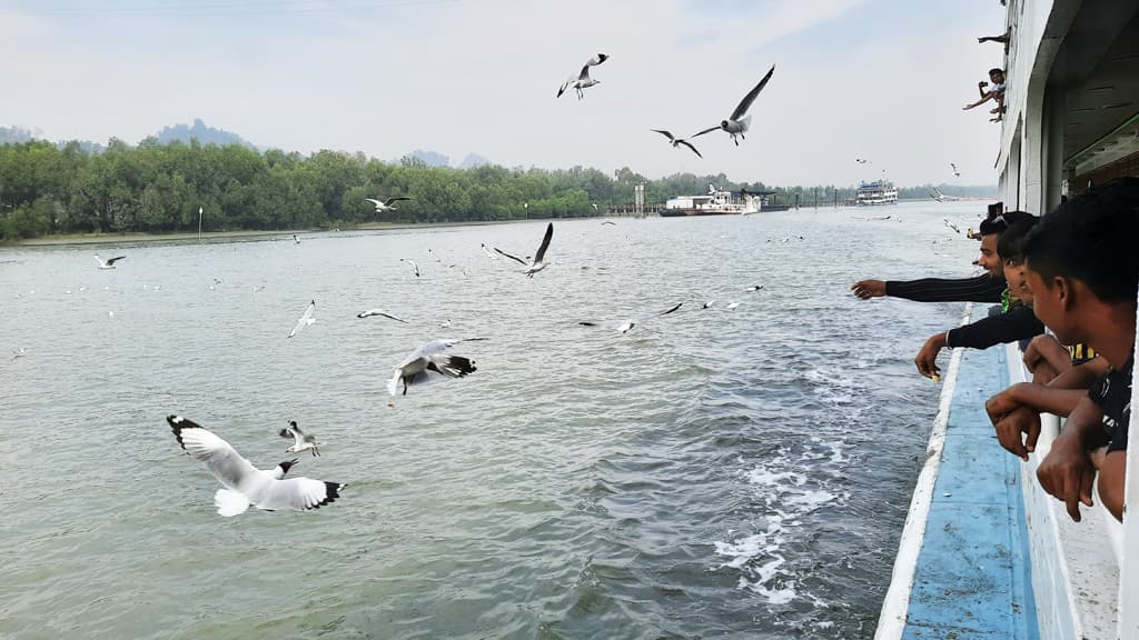 সেন্ট মার্টিনের পথে চিপসের ছড়াছড়ি, কমে যেতে পারে গাঙচিলের ডিম পাড়া