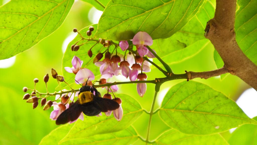 দিনের ছবি (৮ এপ্রিল, ২০২৪)