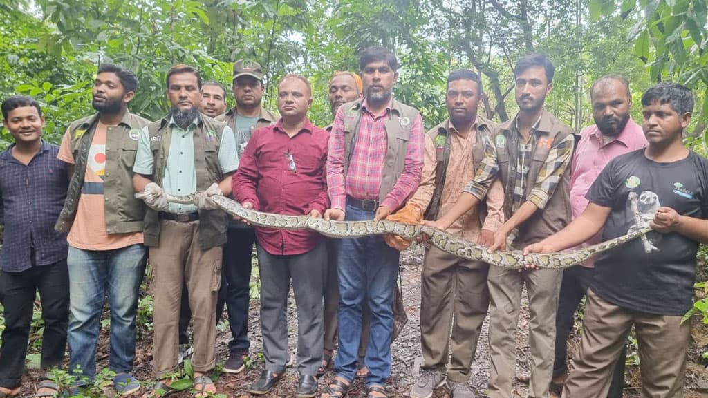 কাপ্তাই জাতীয় উদ্যানে ছাড়া হলো উদ্ধার করা অজগর