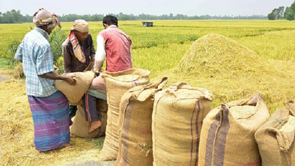 লক্ষ্যমাত্রার ৫ শতাংশ ধানও সংগ্রহ হয়নি