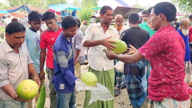 ৪০ টাকা কেজির তরমুজ এখন ২০ টাকা পিস