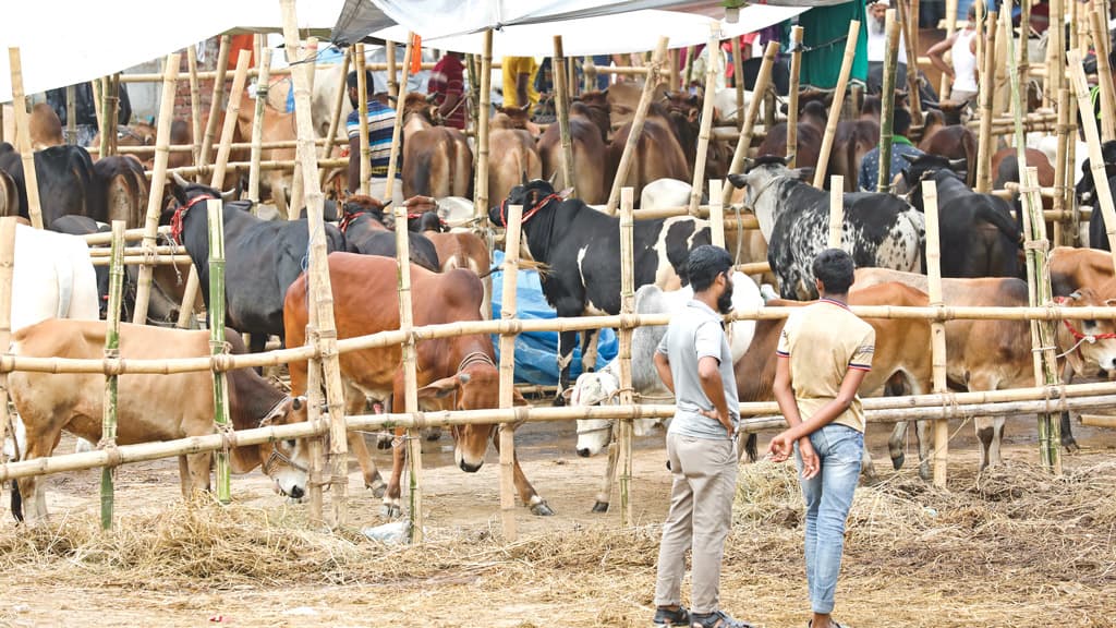 ২৪ ঘণ্টা খোলা থাকে গাবতলী পশুর হাট