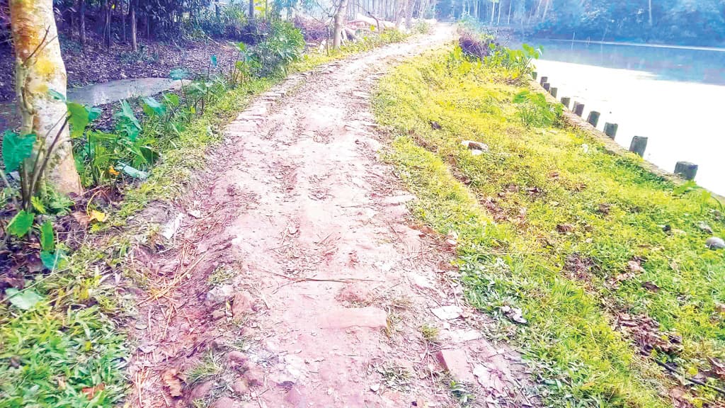 দেড় কিলোমিটারে যত ভোগান্তি