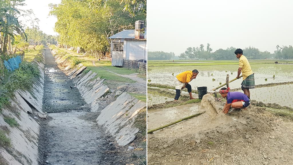 পানিশূন্য তিস্তা, সেচসংকটে কৃষক