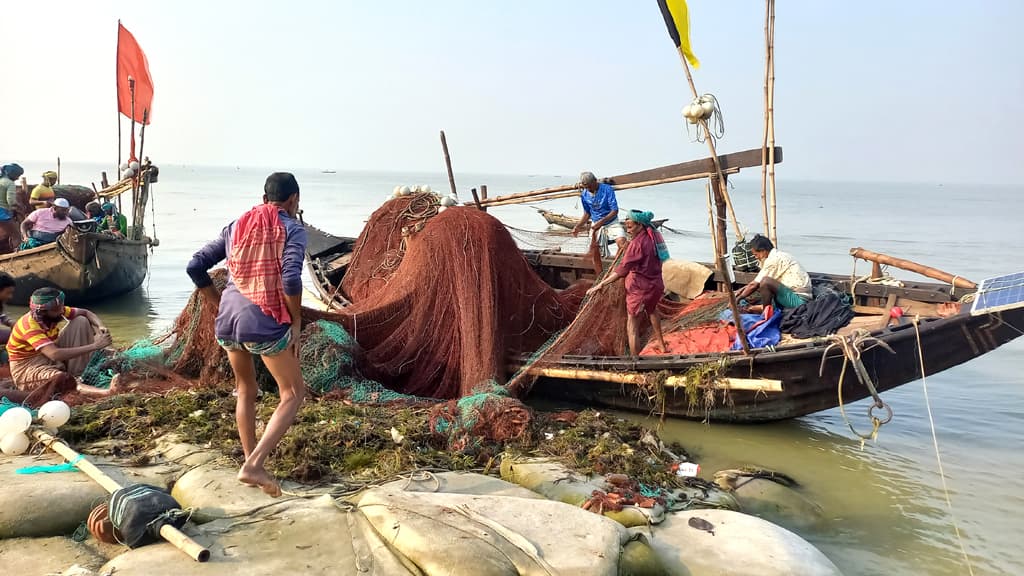 ইলিশ কম, পাঙাশের আশায় মেঘনায় ছুটছেন জেলেরা