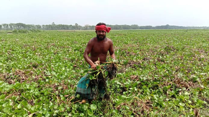 অনাবাদি ৪ হাজার একর জমি