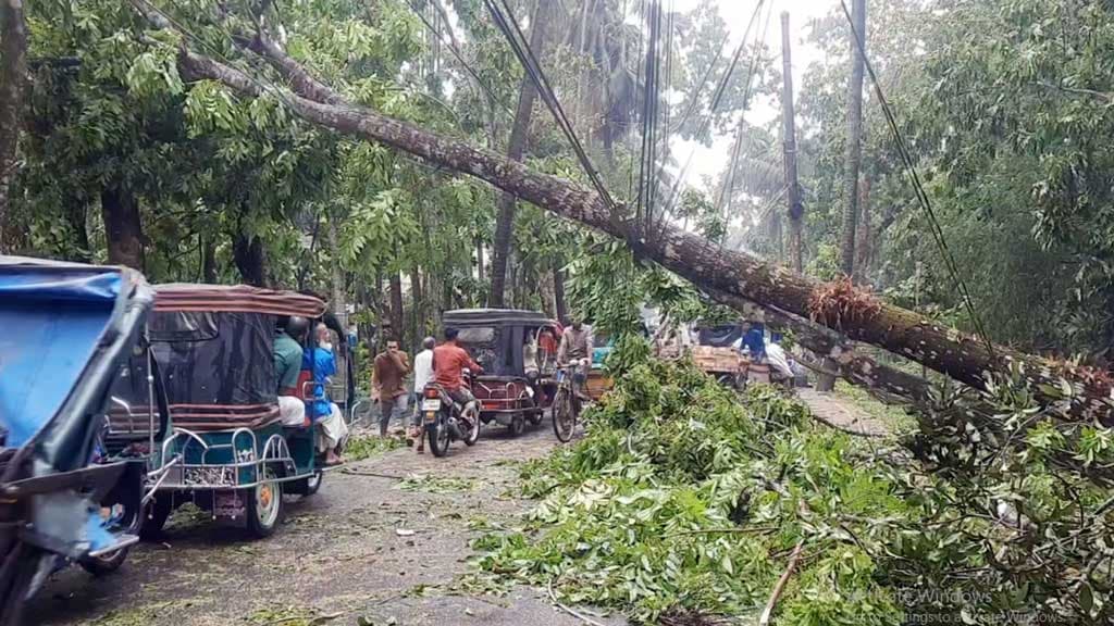 হঠাৎ ঝড়ে ১০ ঘণ্টা বিদ্যুৎহীন পিরোজপুর, নিহত বেড়ে ২ 