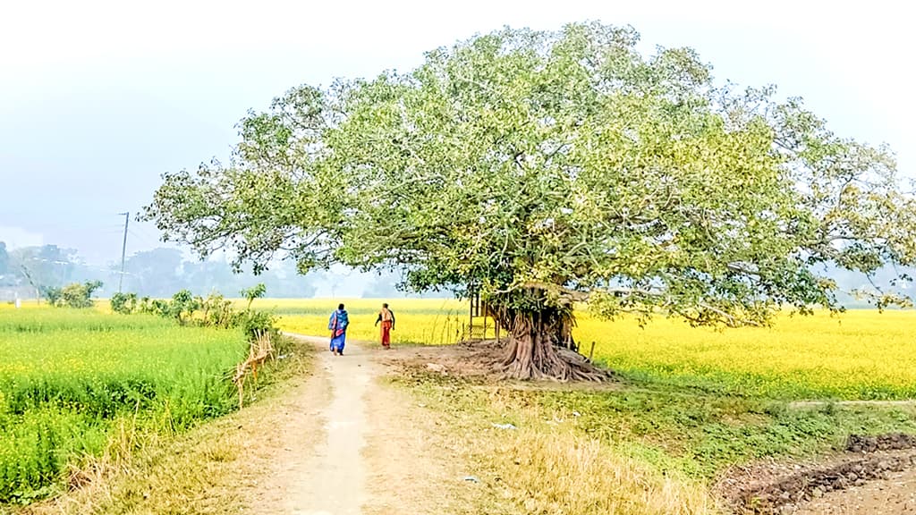 অপরূপ এক গাঁয়ে