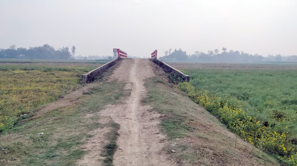 প্রকল্পের উদ্বোধন রেখে বনভোজনে ইউপি চেয়ারম্যানরা, ছুটিতে মাঠ কর্মকর্তা