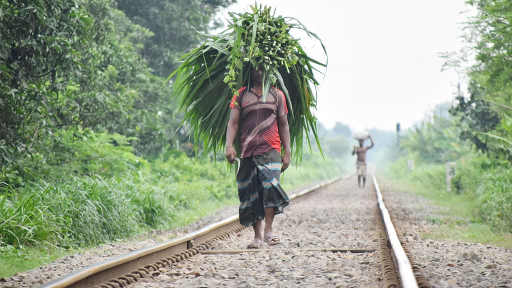 দিনের ছবি (১৫ জুলাই ২০২৪)