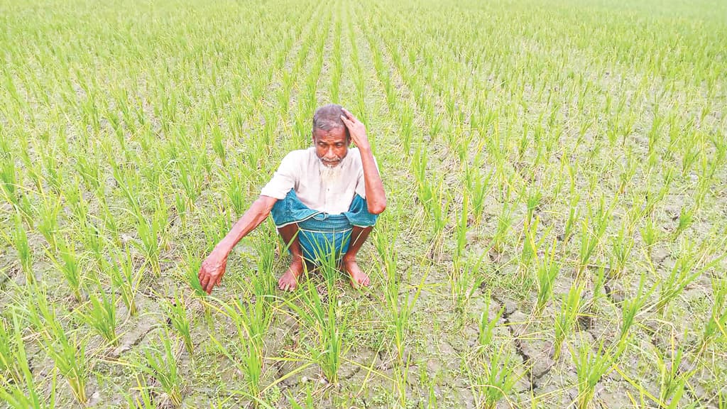 অনাবৃষ্টিতে কপাল ফাটছে কৃষকের