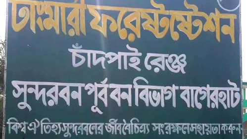 ঢাংমারী স্টেশনে জেলেদের বিএলসি নবায়নে অনিয়মের অভিযোগ