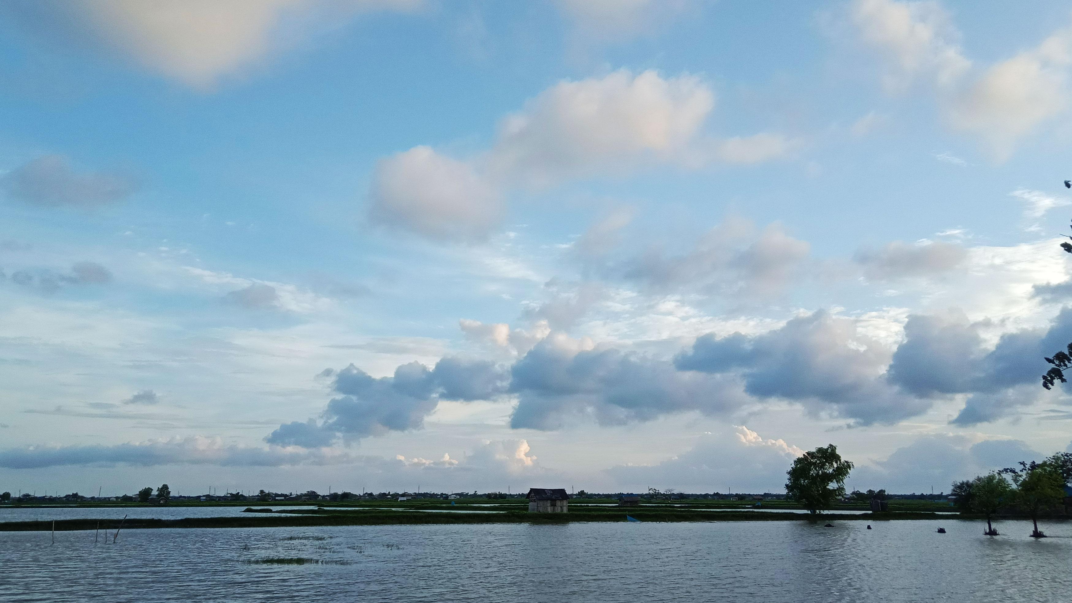 হাজার বিঘা জমি দখল তদন্তে পিবিআই দল