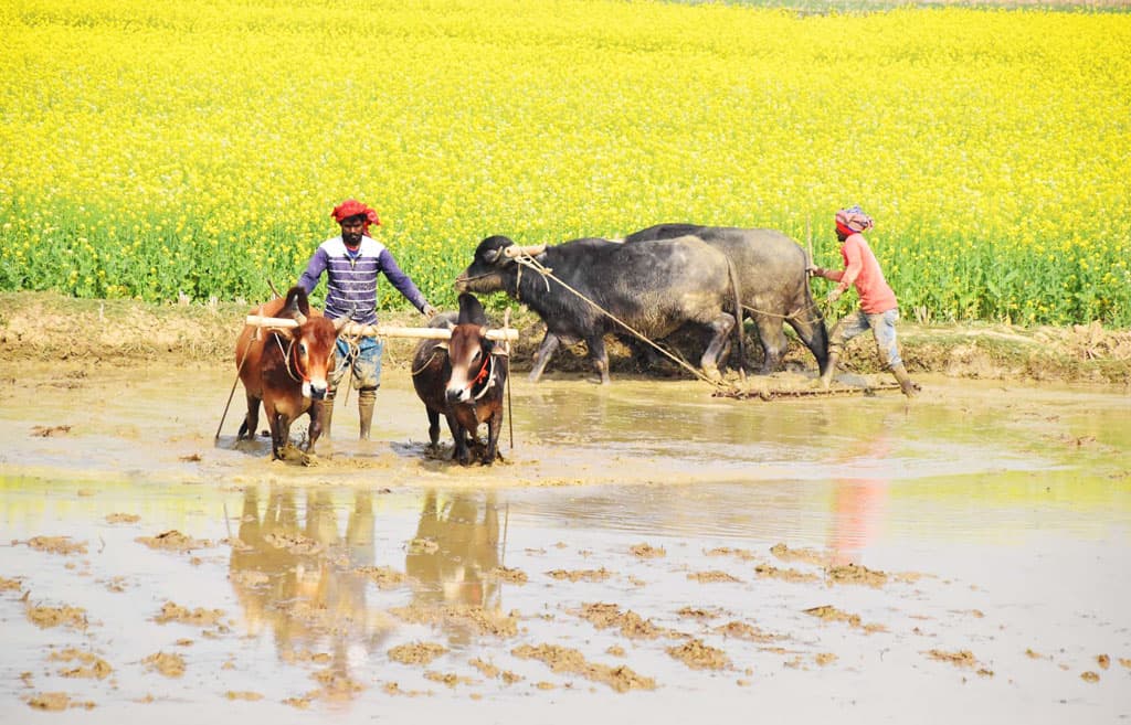 দিনের ছবি (১২ জানুয়ারি, ২০২৪)