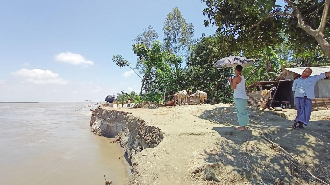 ব্রহ্মপুত্র গিলে খাচ্ছে বসতভিটা