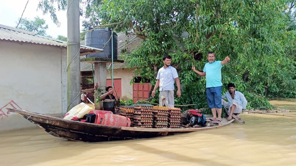 কুমিল্লায় বন্যায় বেশি ক্ষতি কৃষি ও মৎসখাতে