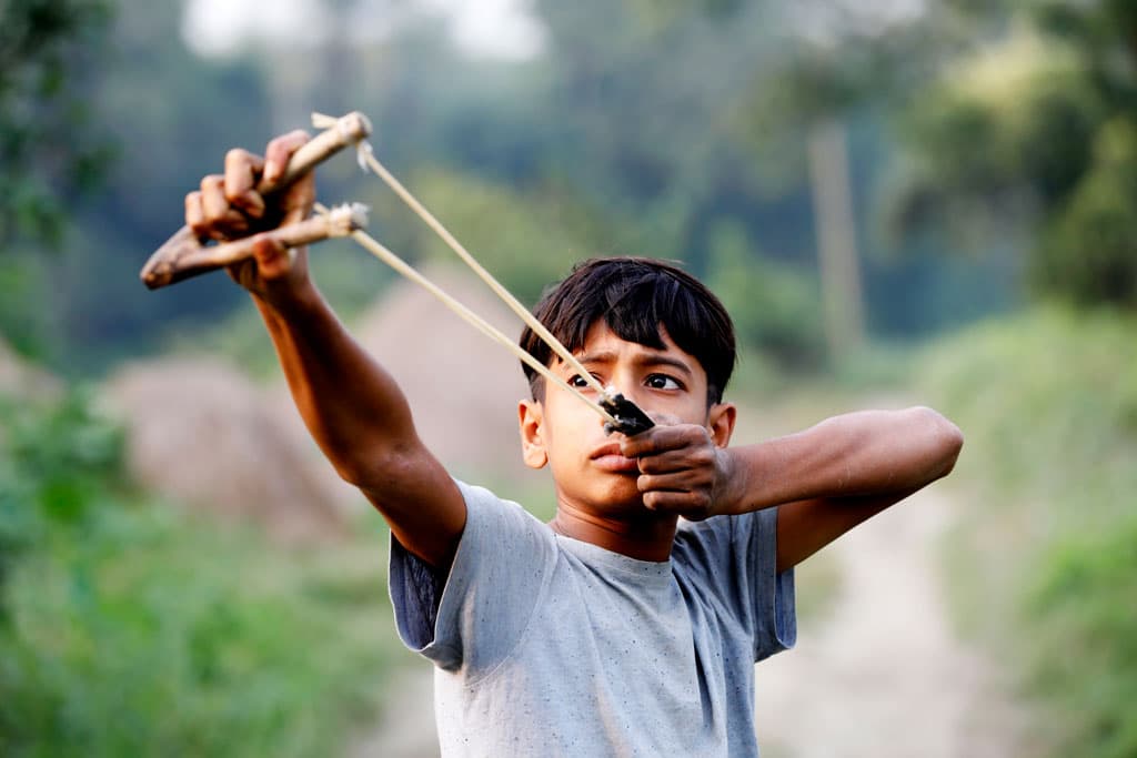 দিনের ছবি (১৩ জুন, ২০২৩)