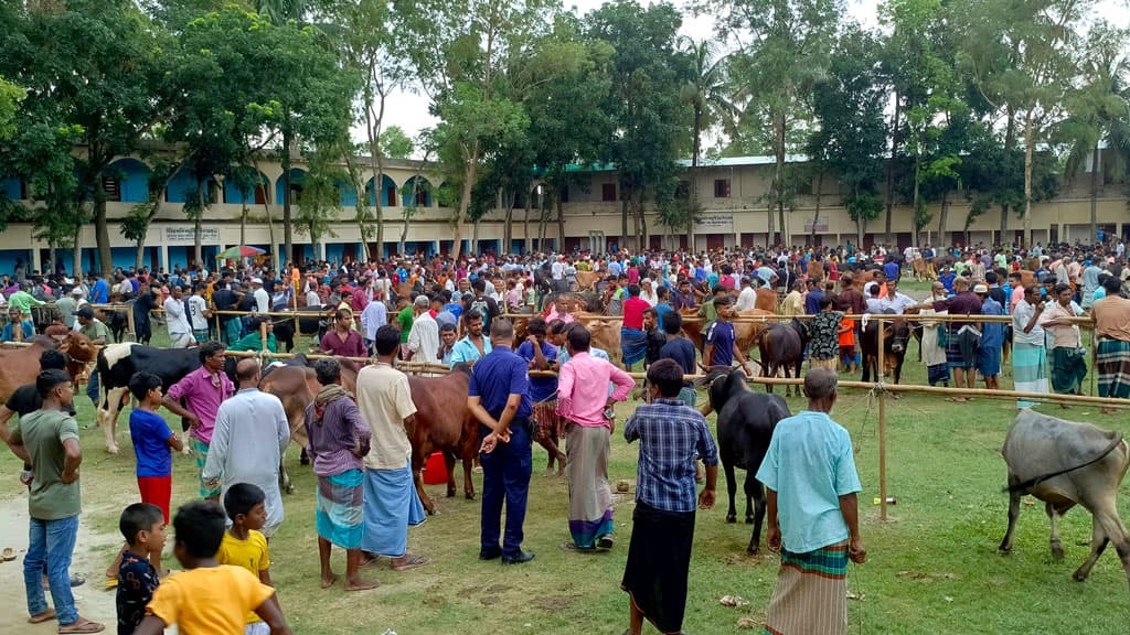 রায়পুরায় স্কুল মাঠে অবৈধ পশুর হাট, ২ যুবকের দণ্ড 