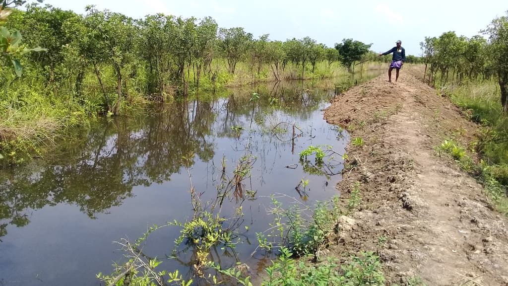 ৪ মাসেও তদন্তে অগ্রগতি নেই