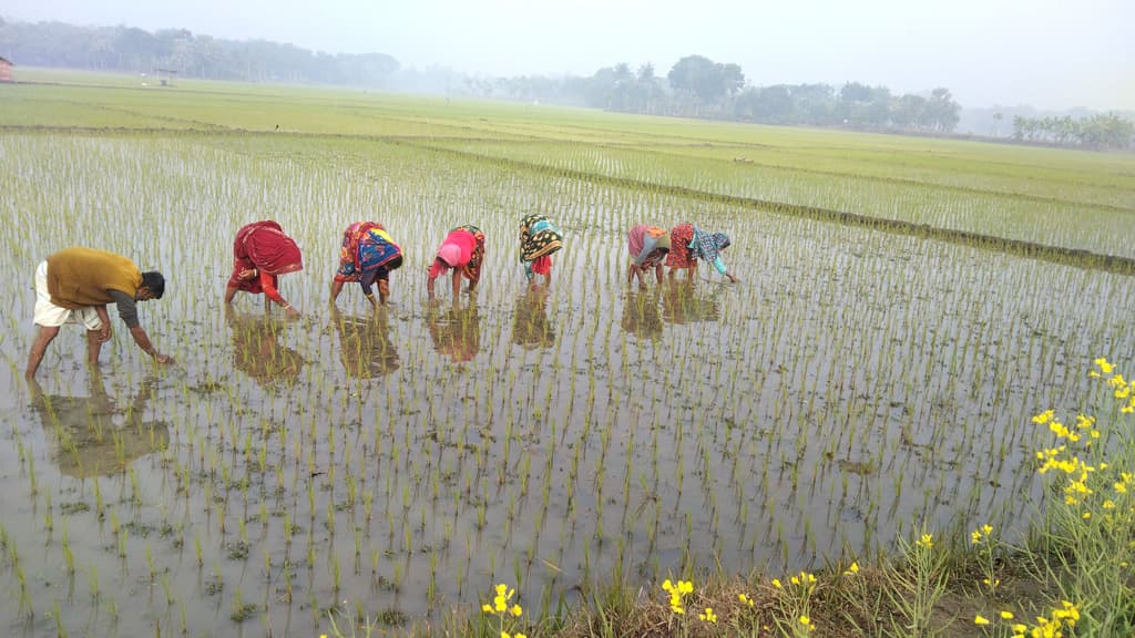 দিনের ছবি (১৯ জানুয়ারি, ২০২৪)