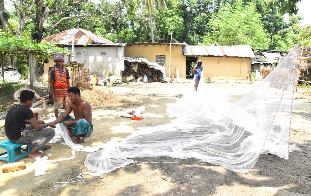 দিনের ছবি (৫ সেপ্টেম্বর, ২০২৪)