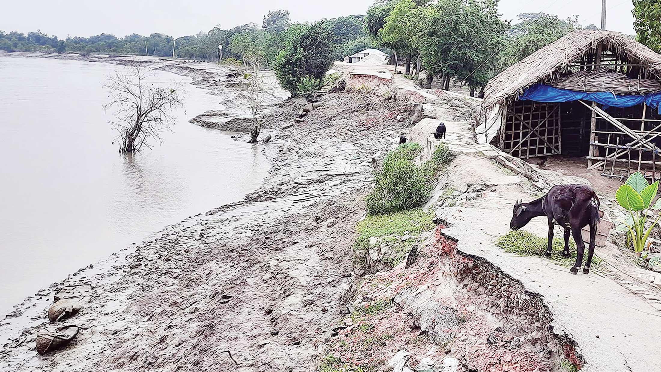 দাকোপে ফের নদীভাঙন