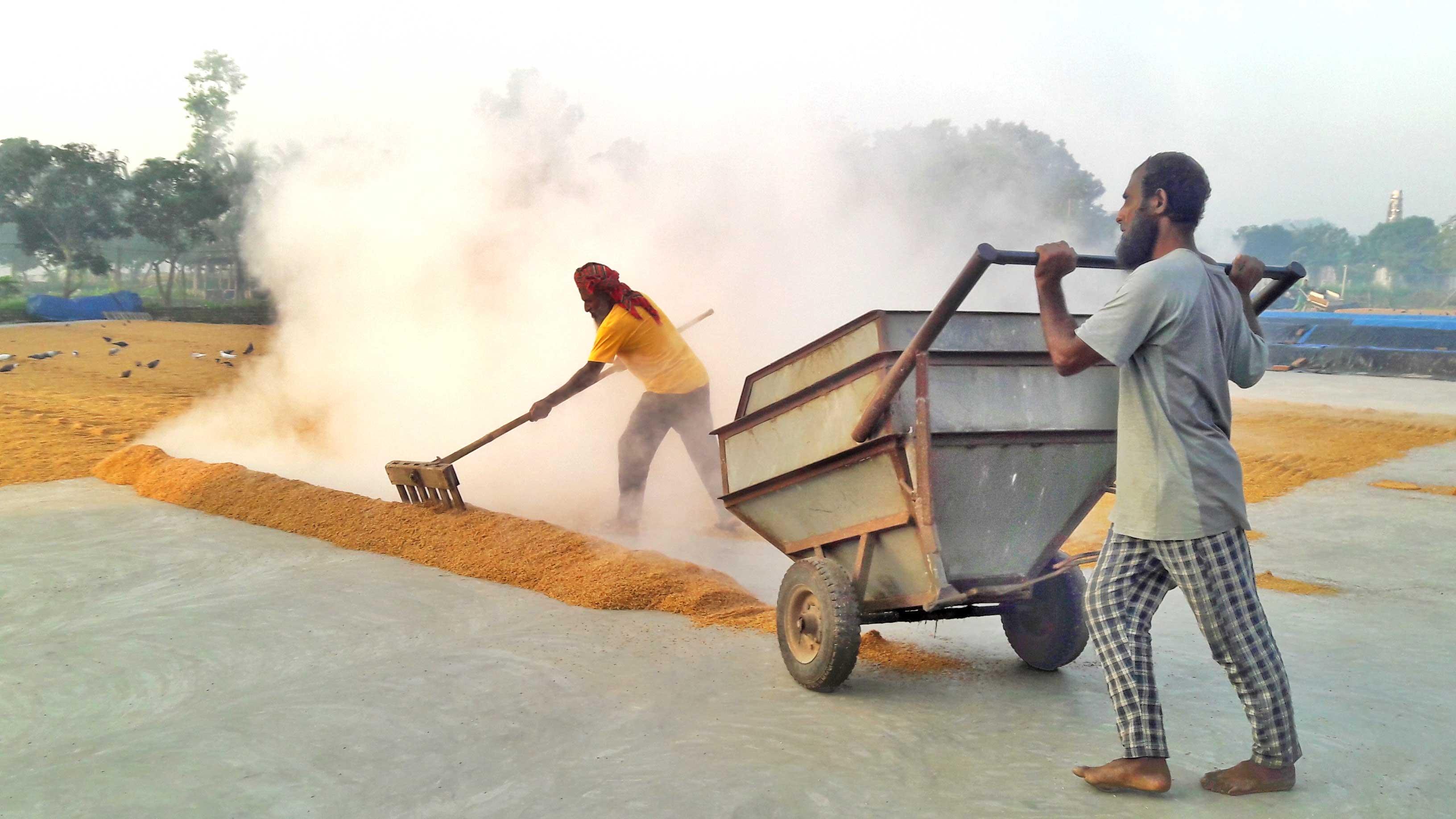 ধান উঠছে, দাম বাড়ছে চালের