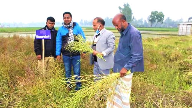 সরিষায় হাসি কৃষকের মুখে