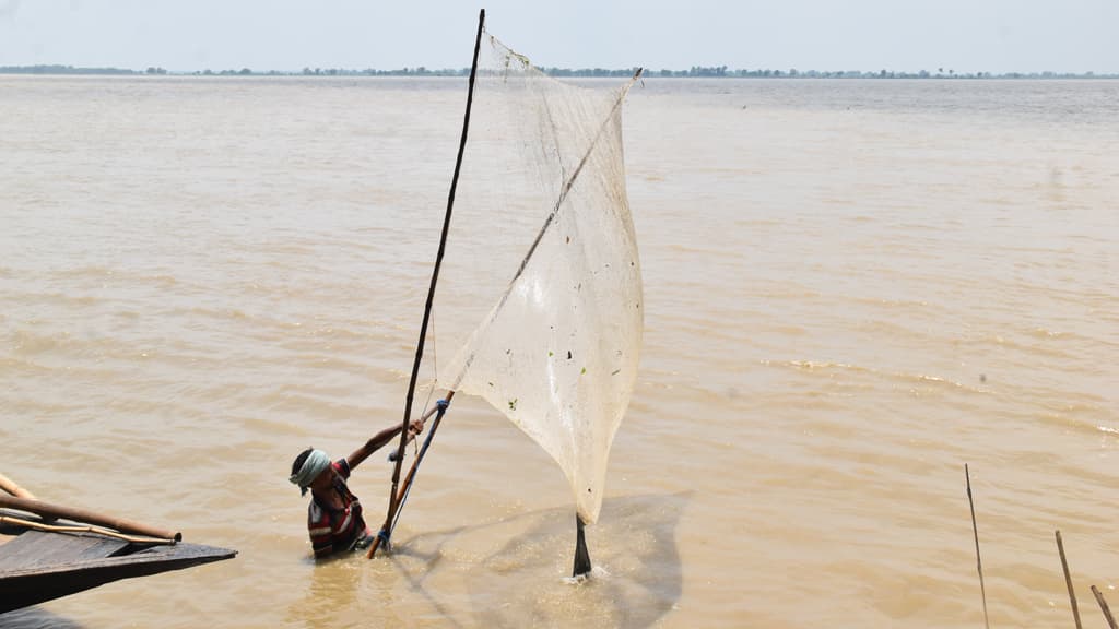 দিনের ছবি (২২ আগস্ট, ২০২৪)