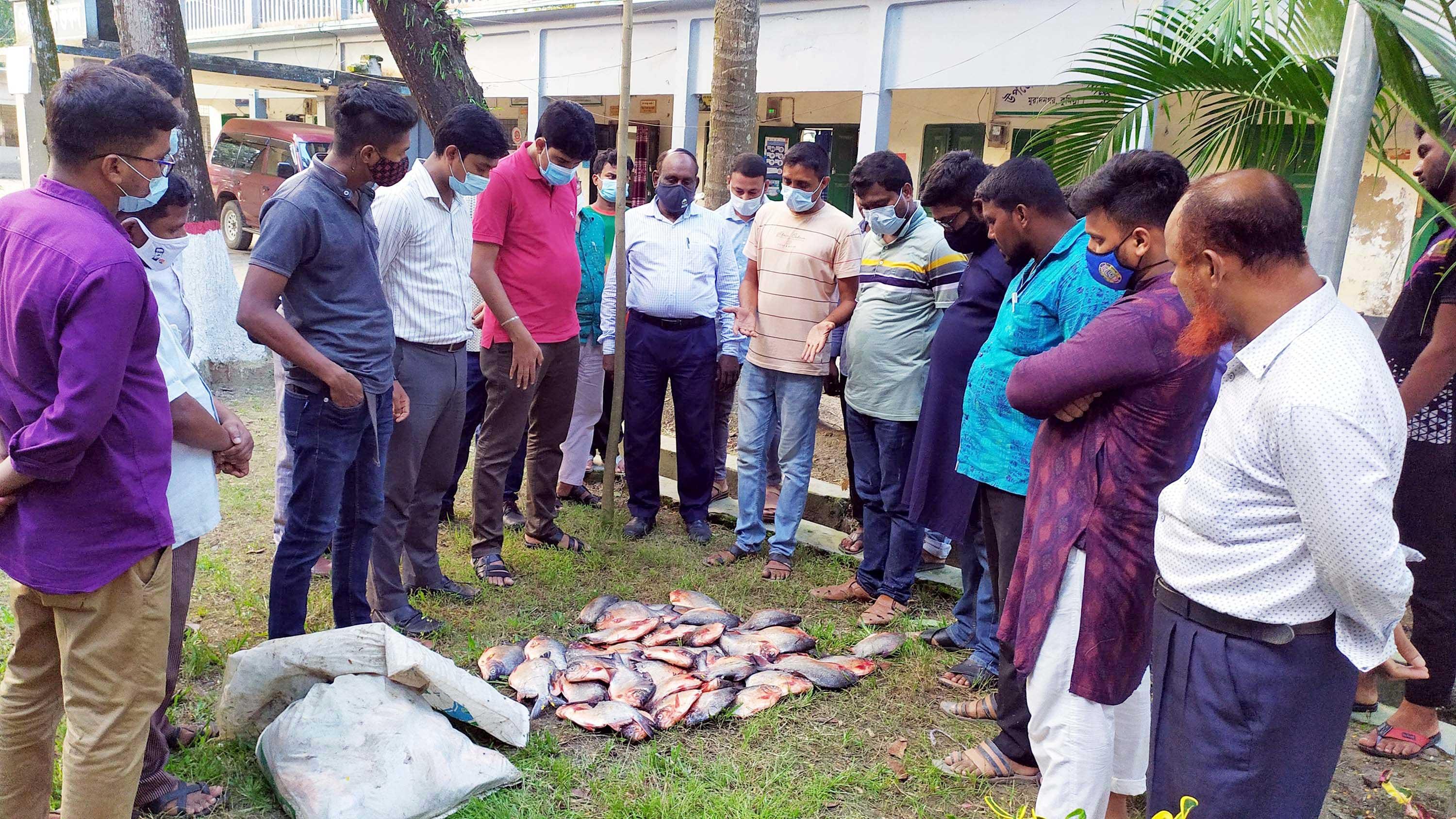 মুরাদনগরে নিষিদ্ধ পিরানহা মাছ চাষ, ধ্বংসের নির্দেশ আদালতের