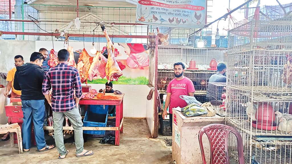 ব্রয়লার মুরগির দাম বেড়েছে