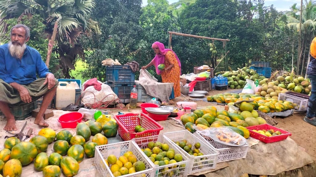 সাজেক সড়কে সতেজ ফলের হাট