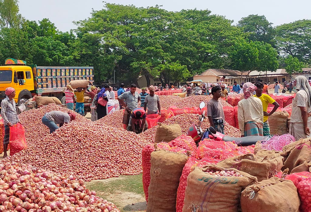 কুমারখালীতে পেঁয়াজের কেজি ৮, তরমুজ ৪০ টাকা