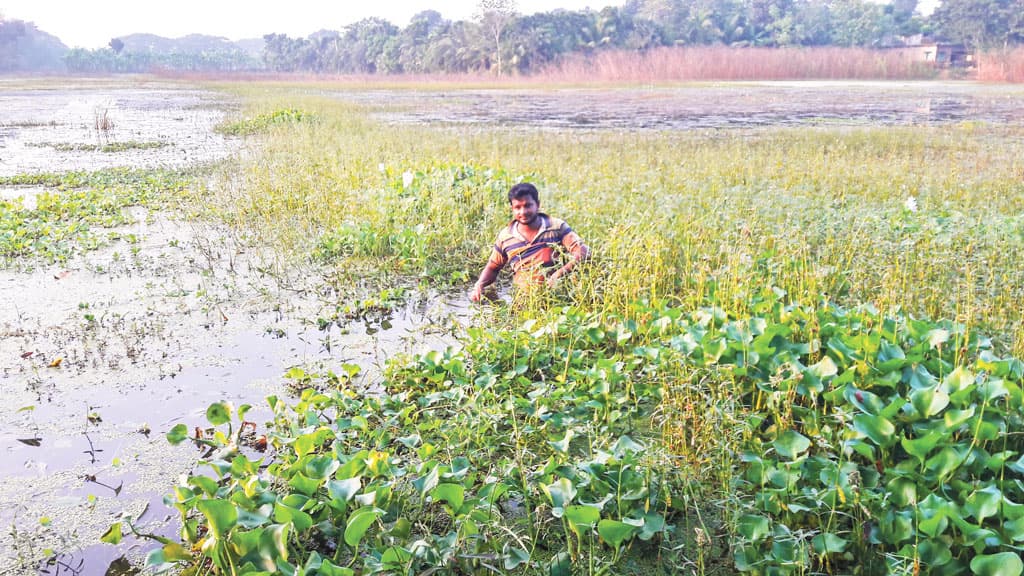 সরকারি খাল খননের সুপারিশ