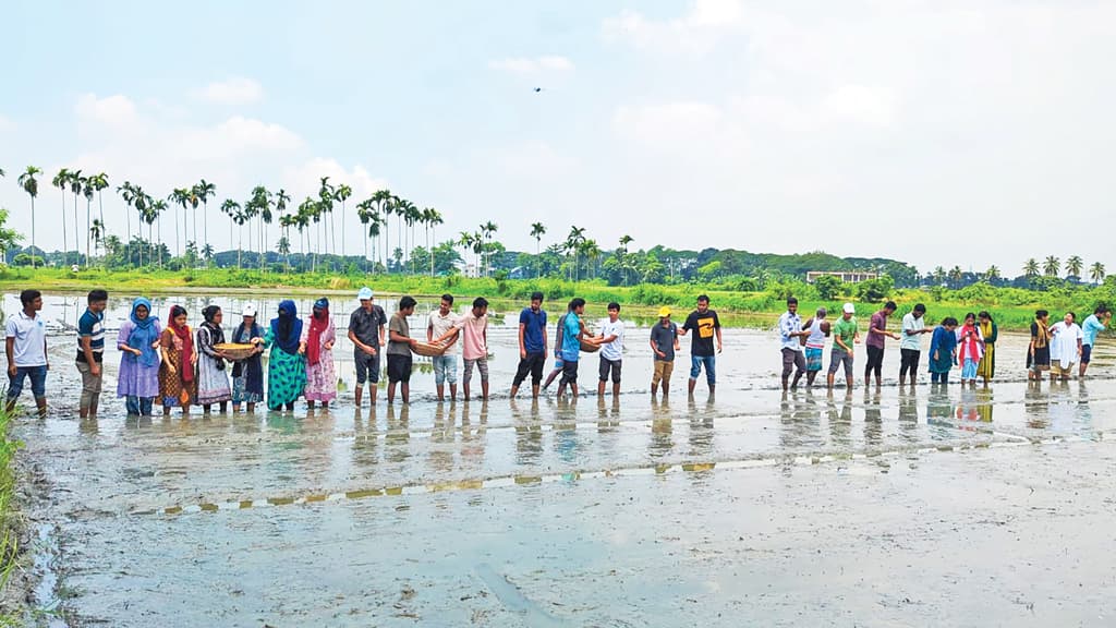 কৃষকদের পাশে অ্যাগ্রি স্টুডেন্ট অ্যালায়েন্স বিডি