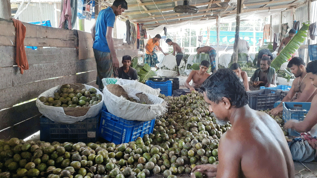 আমড়ার বাম্পার ফলনেও দুশ্চিন্তা য় চাষি