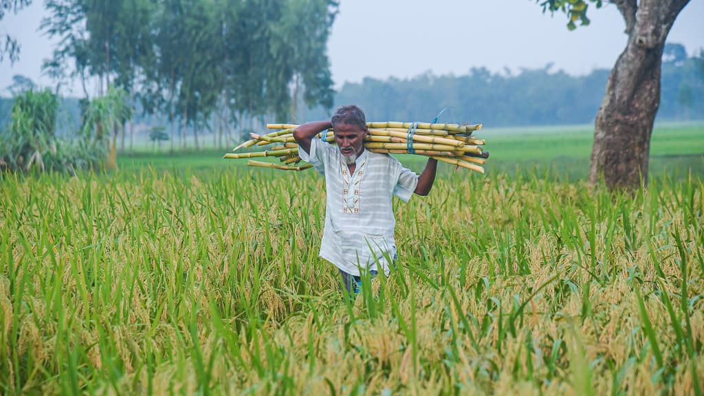 দিনের ছবি (০৮ অক্টোবর, ২০২৩)