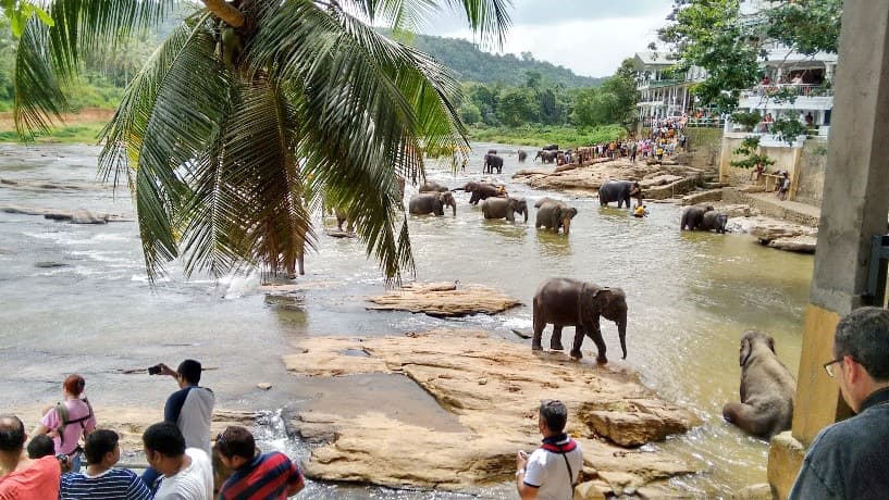 কাঞ্চনময় দেশ শ্রীলঙ্কা